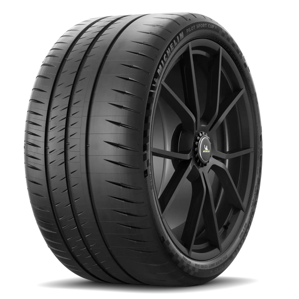 305/30R19 XL 102Y LR2 MICHELIN XL PILOT SPORT CUP 2 CONNECT (240) - All-Season Tire