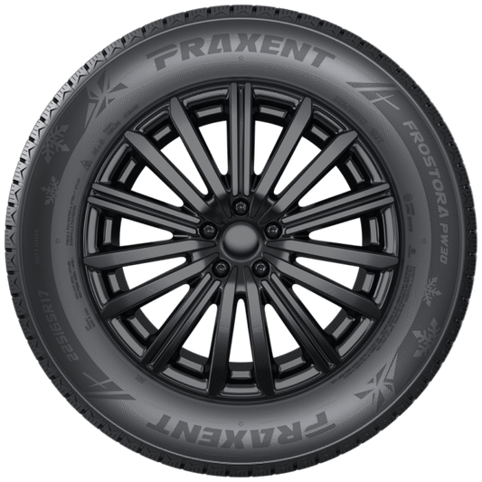 225/55R18 XL 98V PRAXENT FROSTORA PW30 - Winter-Studless Tire