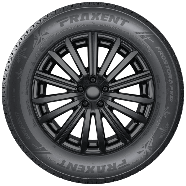 Praxent FROSTORA PW30 225/55R19 tire